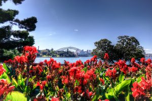 Royal Botanic Garden Sydney